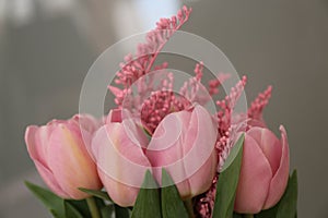 Bouquet of beautiful pink tulips in early spring as a postcard or picture with nice flowers