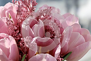 Bouquet of beautiful pink tulips in early spring as a postcard or picture with nice flowers