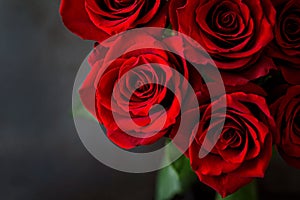Bouquet of beautiful red roses on black background.