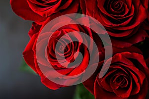 Bouquet of beautiful red roses on black background.