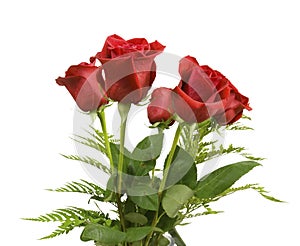 Bouquet of beautiful red roses on a white background