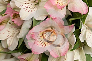 Bouquet with beautiful roses and wedding rings