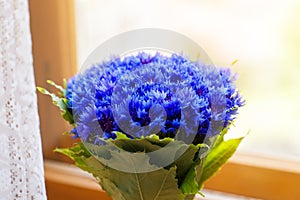 A bouquet of beautiful spring flowers blue cornflower cyanus on