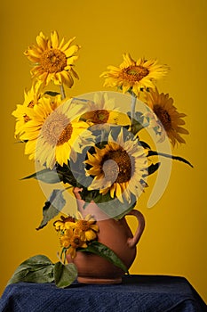 Bouquet beautiful Sunflowers in ceramic jar on a red