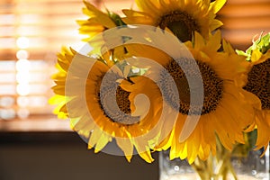 Bouquet of beautiful sunflowers in vase indoors, closeup