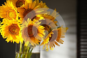 Bouquet of beautiful sunflowers in vase indoors, closeup