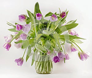 a bouquet of beautiful tulips in a glass jar
