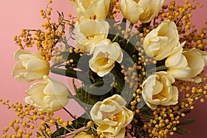 Bouquet with beautiful tulips and mimosa flowers on pink background, closeup