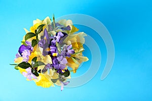 Bouquet of beautiful yellow daffodils, iris and periwinkle flowers on blue background, top view. Space for text