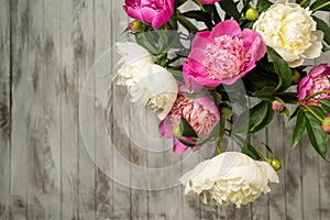 Bouquet of beautifull peonies flowers. Top view.