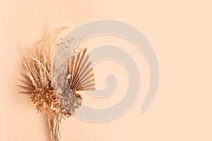 Bouquet of beige dried flowers, grass and leaves on beige background top view