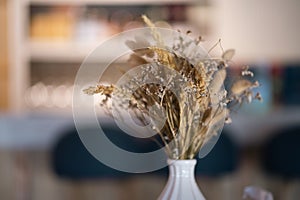 Bouquet of beige dried flowers in white vase on morning light background