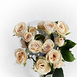 A bouquet of beige roses.