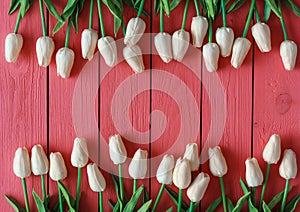 Bouquet of biege tulips on orange or coral wooden background. Top view, copy space