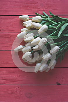 Bouquet of biege tulips on orange or coral wooden background. Top view, copy space