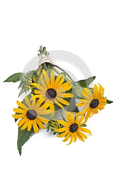 Bouquet of black-eyed-susans