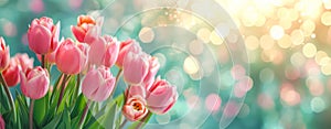 Bouquet of blooming pink tulips flowers on blurred turquoise pastel background with sparkle bokeh. Generative AI