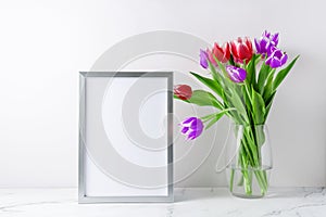 Bouquet blooming red purple white tulip flowers in glass vase and empty poster or photo frame mockup on white marble table in