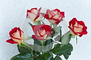 A bouquet of blooming roses