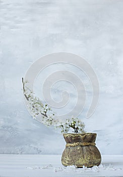 A bouquet with blooming spring branches of cherry and sakura with delicate white flowers in a jug