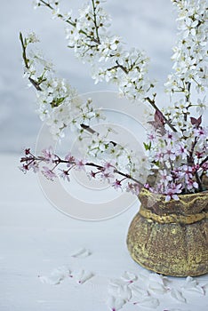 A bouquet with blooming spring branches of cherry and sakura with delicate white and pink flowers in a jug