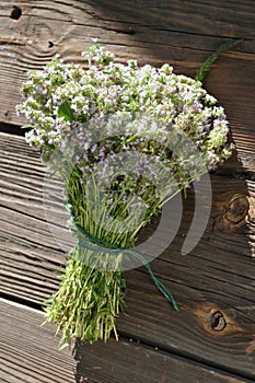 Bouquet of blooming thyme