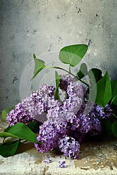 A bouquet of blossoming lilac in rustic style. Fragrant spring flowers, inflorescences.