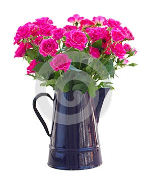 Bouquet of blossoming pink roses in vase