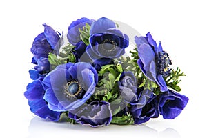 Bouquet blue Anemones
