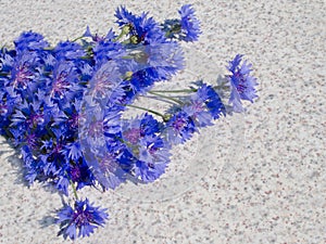 Bouquet of blue cornflowers