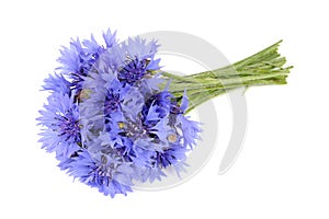 Bouquet of Blue Cornflowers Isolated on White Background