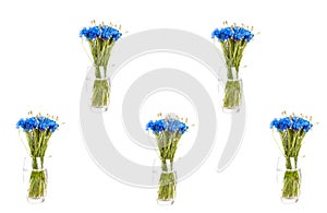 Bouquet with blue flowers isolated on white