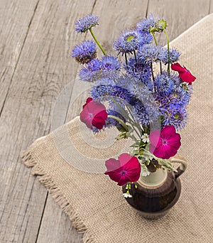 Bouquet of blue Globular (Globularia) flowers photo