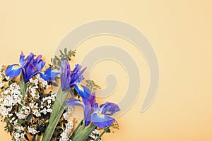 Bouquet of blue iris flowers on light orange background. Holiday concept. Top view, flat lay, copy space