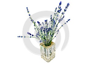A bouquet of blue lavender flowers in a glass vase