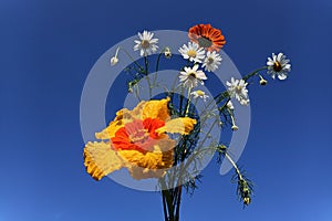 Bouquet on blue sky