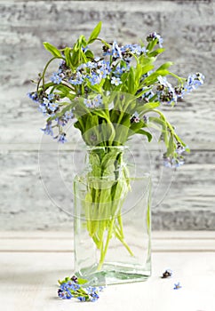 Bouquet of blue wild forget-me-not flowers.