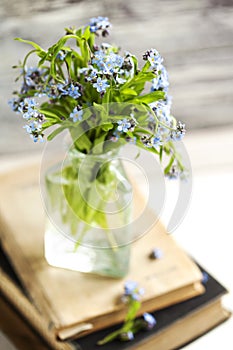 Bouquet of blue wild forget-me-not flowers. Selective focus. Shallow depth of field