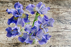 Bouquet blueflag or iris flower on wooden background photo