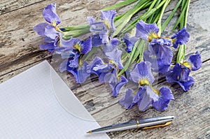 Bouquet blueflag or iris flower on wooden background photo