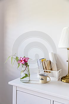 Bouquet of branch of eucalyptus and red flower in glass vase, a box of books, a cup of coffee on a white chest of drawers
