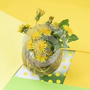 Bouquet of bright colorful yellow dandelions in glass vase, flowers on bright colorful background, concept of spring