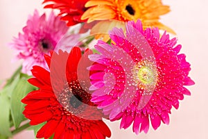Bouquet of bright flowers of chrysanthemums
