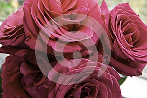 A bouquet of bright roses lying on wooden background