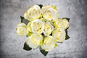 Bright yellow roses