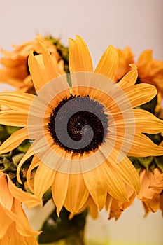 Bouquet of bright yellow large sunflowers. Beautiful fresh flowers