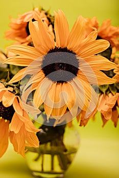 Bouquet of bright yellow large sunflowers. Beautiful fresh flowers