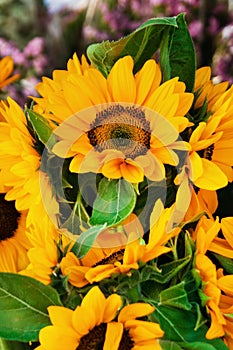 A bouquet from bright yellow sunflowers at the flower market.