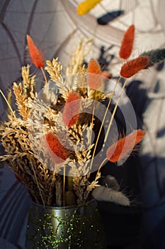 Bouquet of brown spikelets. Still life dry ears in vase in the sun