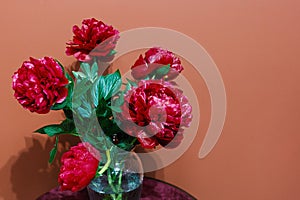 Bouquet of burgundy peonies in glass vase on terracotta background. Close-up with selective focus. Bouquet of seasonal peonie